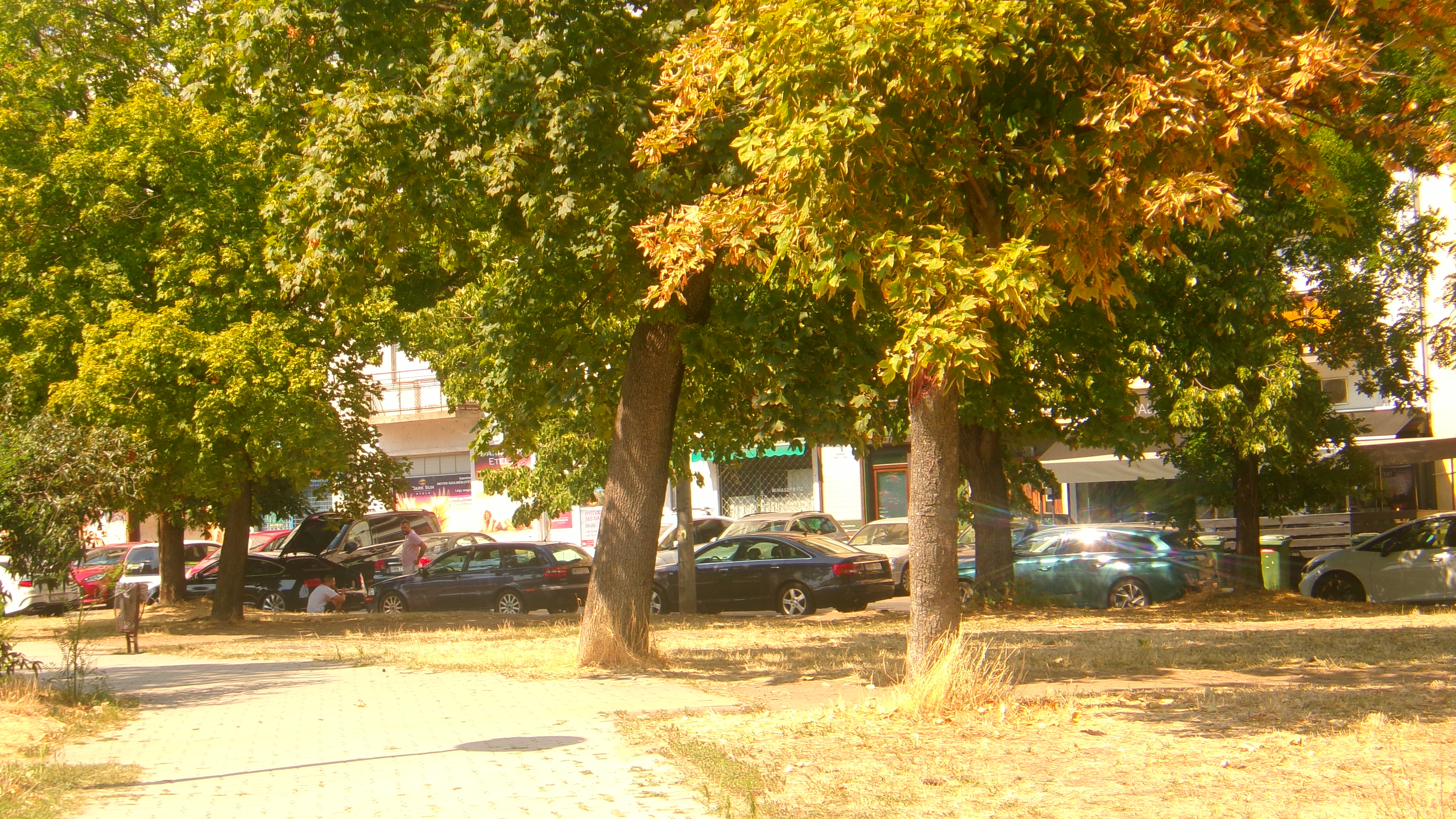 Ev Fotoğrafı